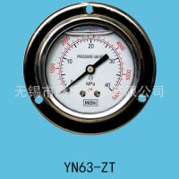 YN63ZT 轴向带边压力表 油压 气压 水压