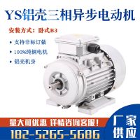 YS90/120/370/750W三相电动机380V铝壳微型变频全铜线马达立